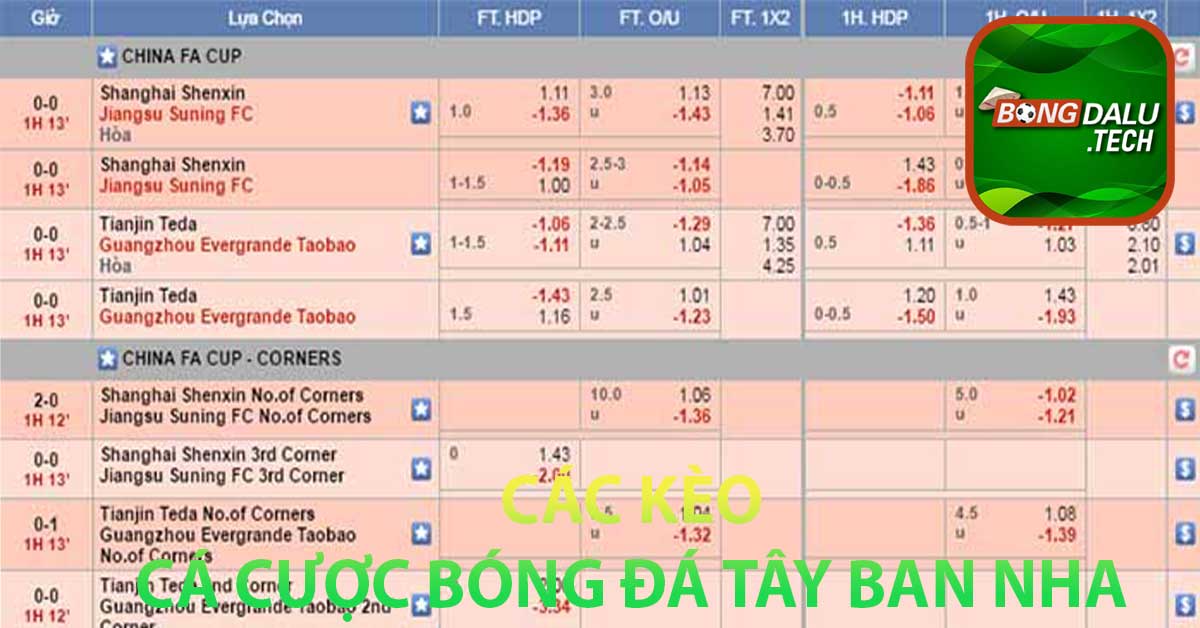 Các kèo cá cược bóng đá Tây Ban Nha