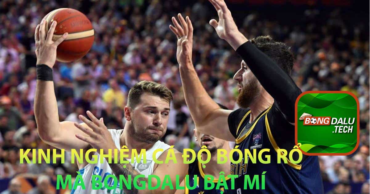 Kinh nghiệm cá độ bóng rổ mà Bongdalu bật mí