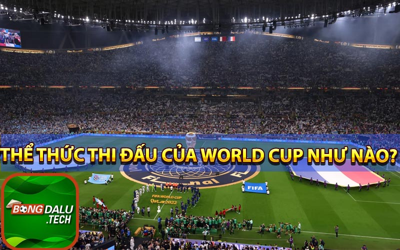 Thể thức thi đấu của World Cup như nào?