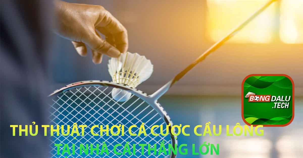 Thủ thuật chơi cá cược cầu lông tại nhà cái thắng lớn