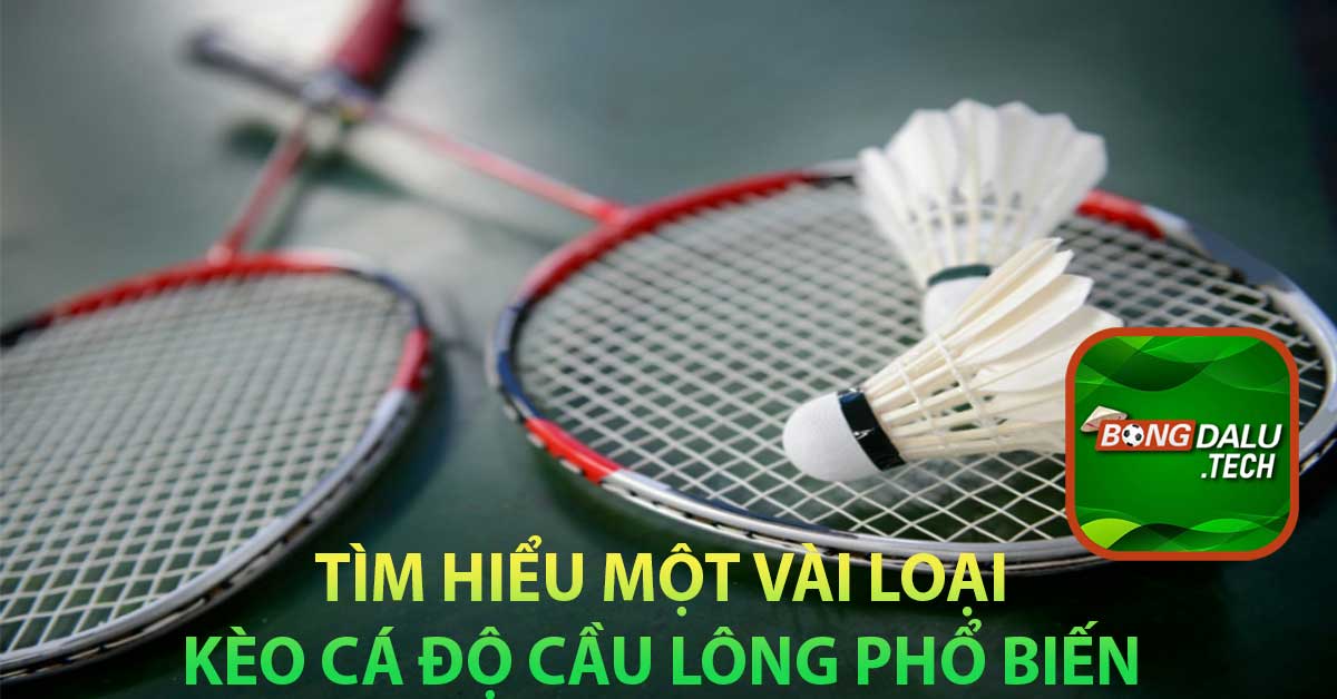 Tìm hiểu một vài loại kèo cá độ cầu lông phổ biến