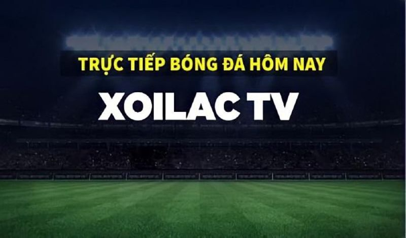 Những chính sách hỗ trợ khách hàng của xoilac tv