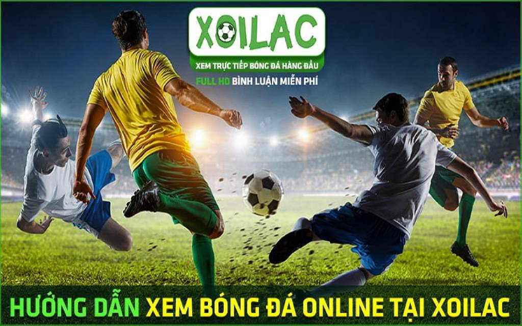 Xoilac thường xuyên cập nhật các trận đấu mới nhất