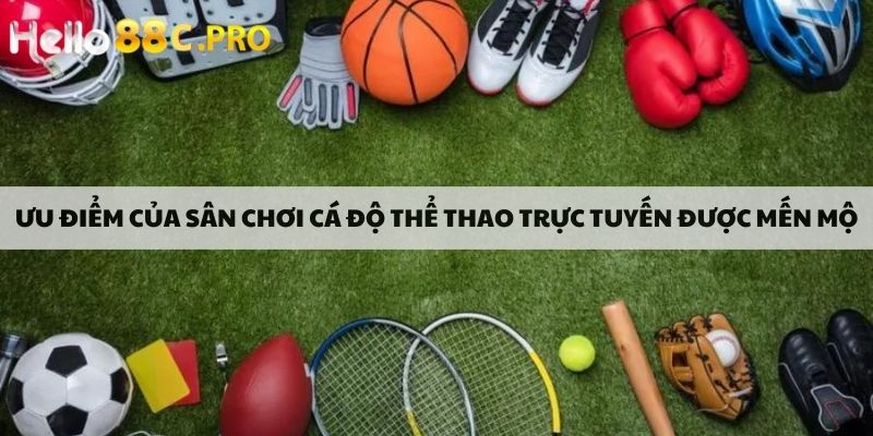 Ưu điểm của sân chơi cá độ thể thao trực tuyến được mến mộ