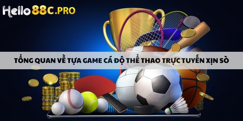 Tổng quan về tựa game cá độ thể thao trực tuyến xịn sò