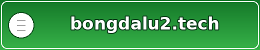 BongDaLU2